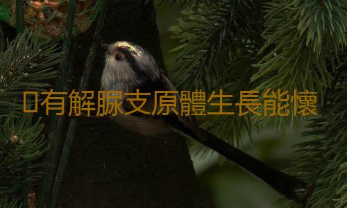 有解脲支原體生長能懷孕嗎?