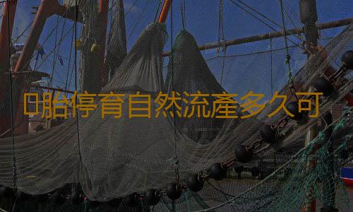 胎停育自然流產多久可以生孩子